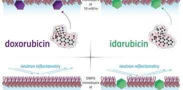 230503_Monolayers cancer drugs.jpg