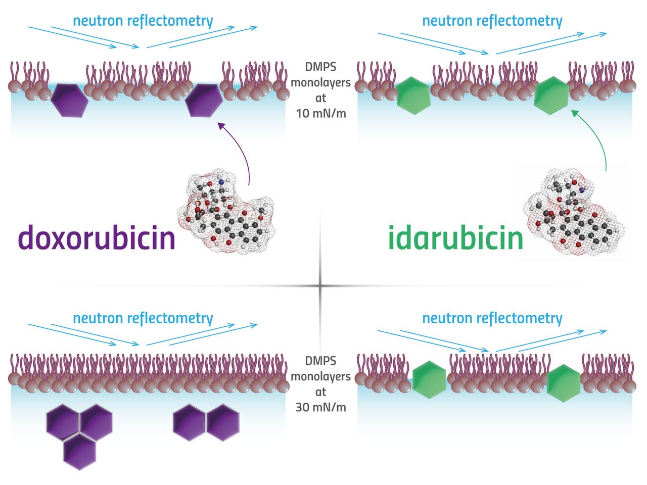 230503_Monolayers cancer drugs.jpg