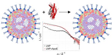 230512 nanolipids AZ.jpg