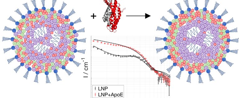 230512 nanolipids AZ.jpg