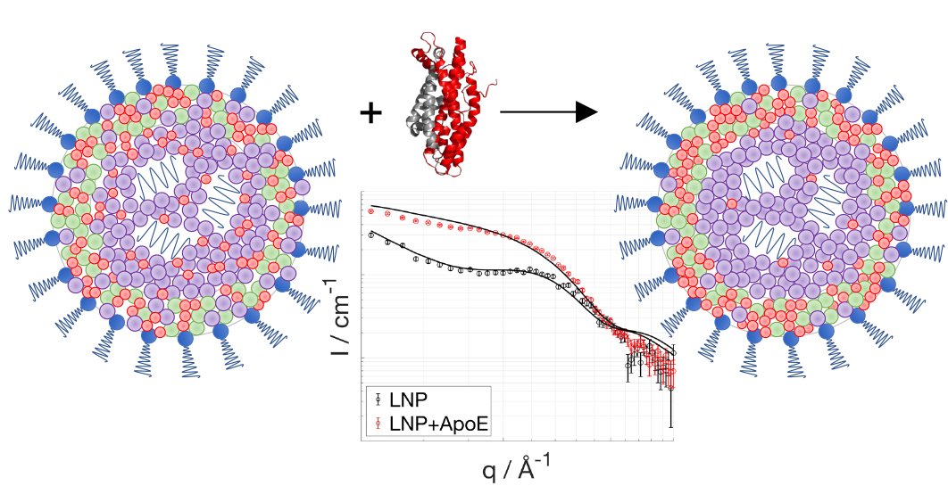 230512 nanolipids AZ.jpg