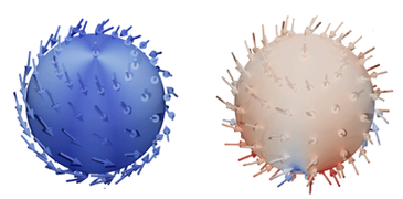 240126_Hybrid skyrmions_Vignette_4x3.png