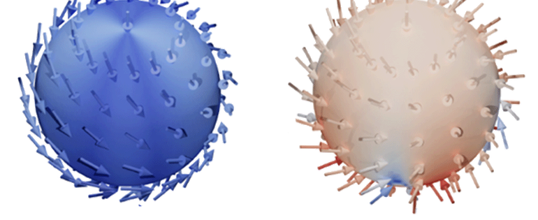 240126_Hybrid skyrmions_Vignette_4x3.png