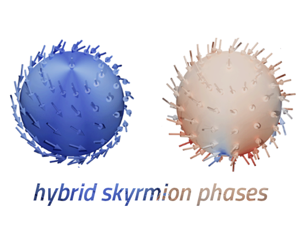 240126_Hybrid skyrmions_Vignette_4x3.png
