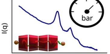 240703 Effect_hydroastatic_pressure_ _cover.jpg