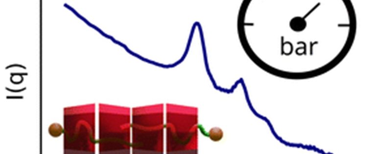 240703 Effect_hydroastatic_pressure_ _cover.jpg