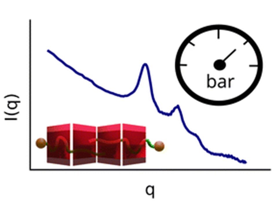 240703 Effect_hydroastatic_pressure_ _cover.jpg