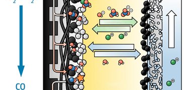 250319_Transport processes.jpg