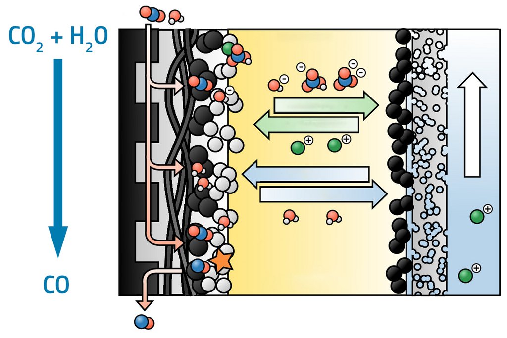 250319_Transport processes.jpg