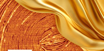 250324_Gold veil_peptide film_4x3.jpg