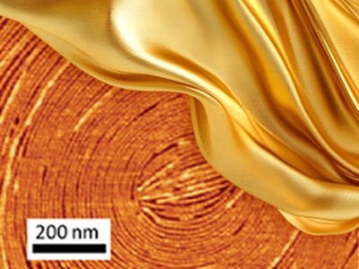 250324_Gold veil_peptide film_4x3.jpg