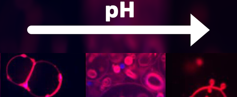251021_Extreme membranes.png
