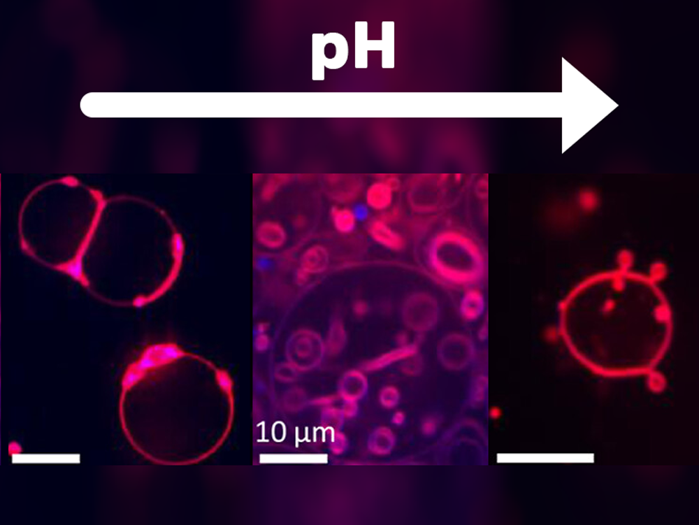 251021_Extreme membranes.png