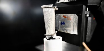 251023_ _PorTo_c_S.Monfront ILL 2.jpg