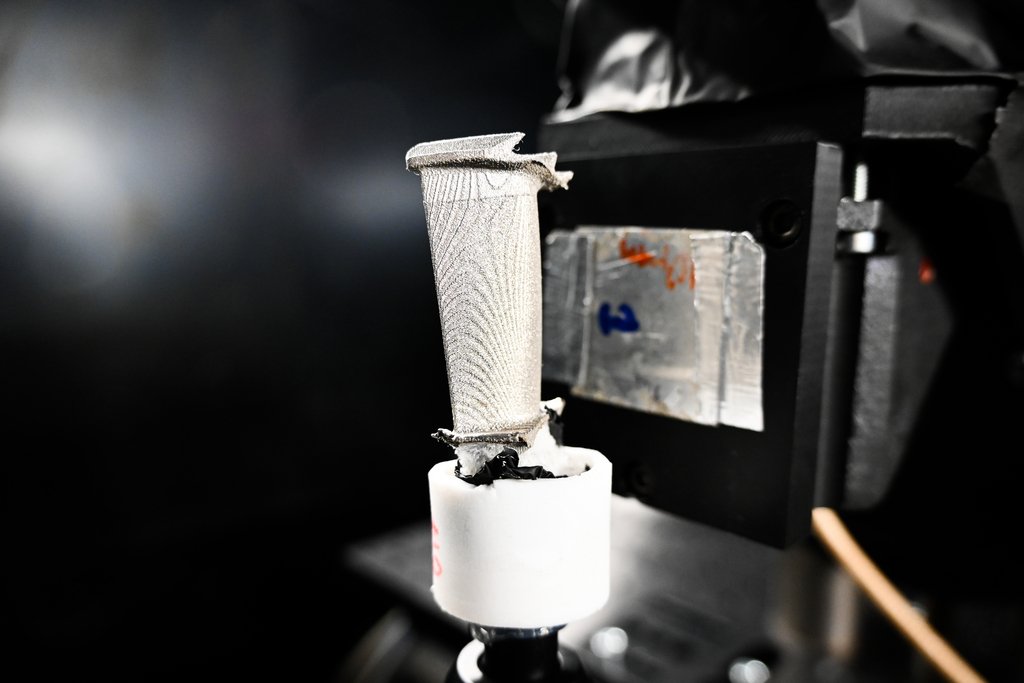 251023_ _PorTo_c_S.Monfront ILL 2.jpg