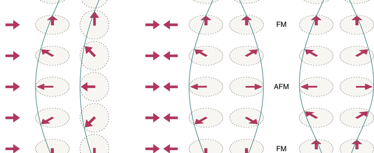 41567_2019_522_Fig1_HTML.png