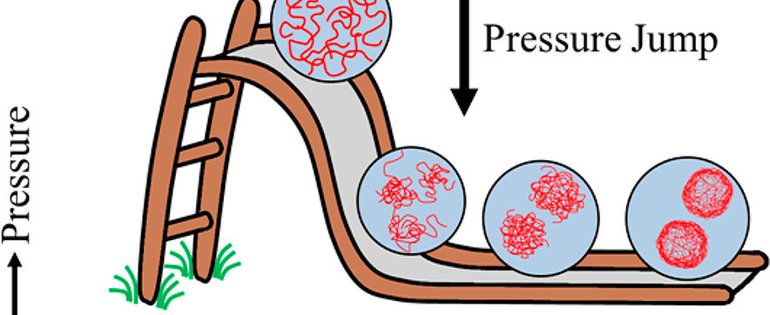 ACS_Macro_fig_1