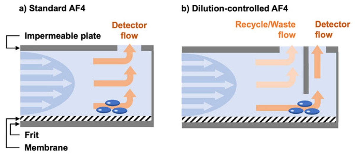 In standard AF4 and dilution-controlled AF4 setups designs