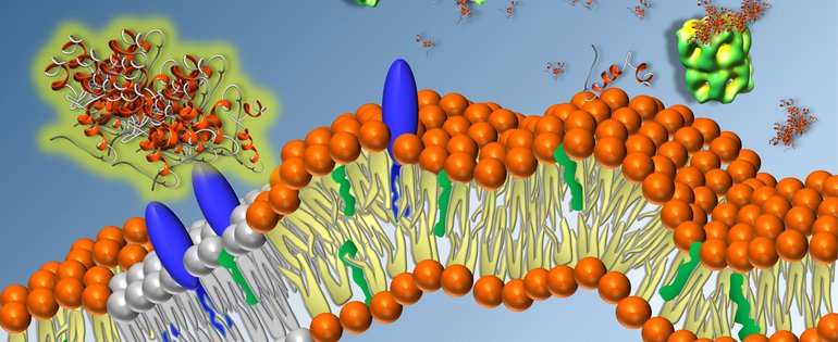 Amyloids_JPhysChemB.jpg
