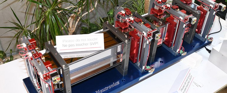DSC_7210.JPG