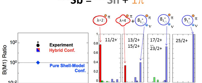 Exotic nucleus.png