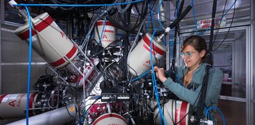 FIPPS_2019 10 21 256788_DSC2375.jpg