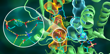 Illustration_of_the_intricate_organisation_of_the_PKA_structure_Credit_ORNL_Jill_Hemman.png