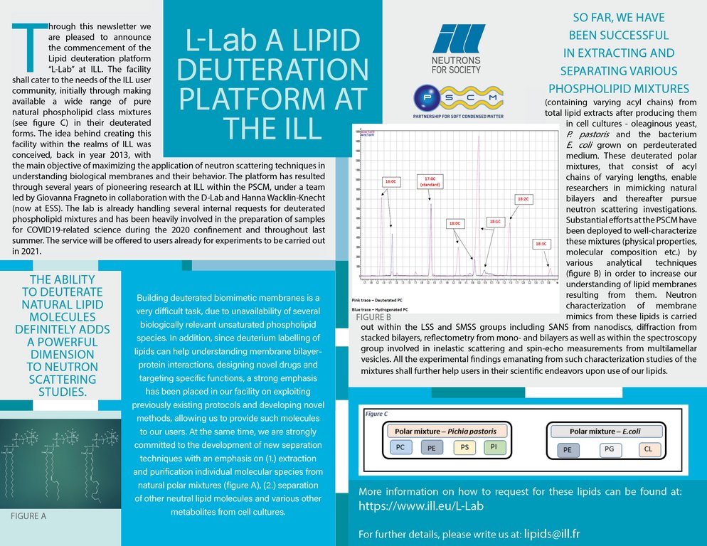 L Lab_Newsletter.jpg