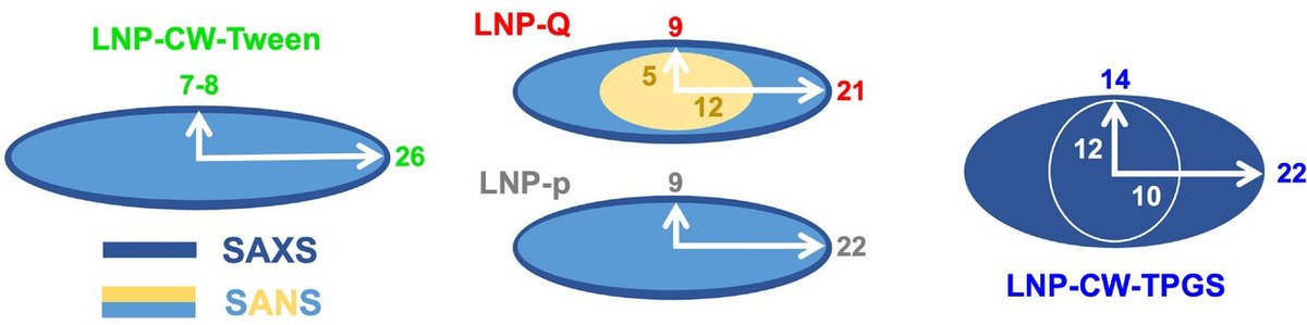 LNPs structure from SANS and SAXS