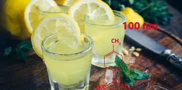 Limoncello credit Nelly_Kovalchuk ILL.jpg