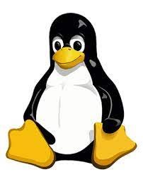 Linux icon.jpg