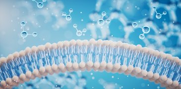 PBS AdobeStock_503037753.jpeg