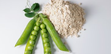 Pea AdobeStock_516129045.jpeg