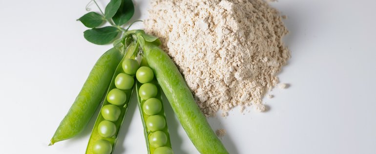 Pea AdobeStock_516129045.jpeg