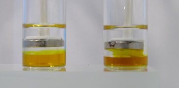 Picture_014_20 15 21_.JPG