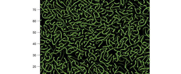 Polymer dynamics nvidia_green.jpg