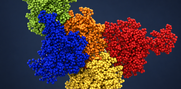 Protein_motion_neutron_scatterin_ILL