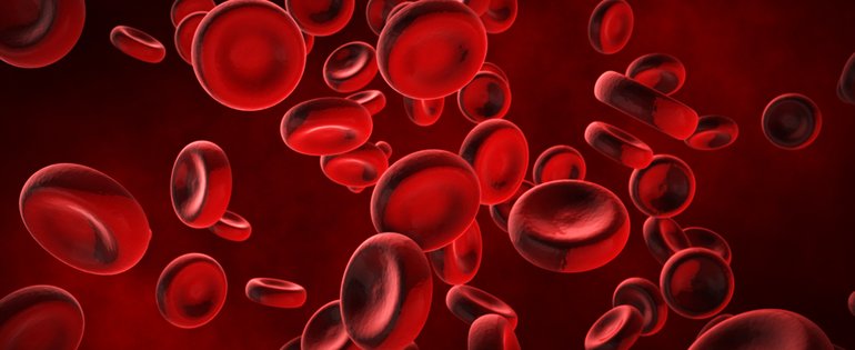 RedBloodCells AdobeStock_141797434.jpeg