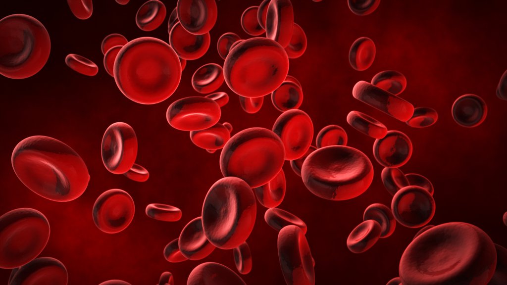 RedBloodCells AdobeStock_141797434.jpeg