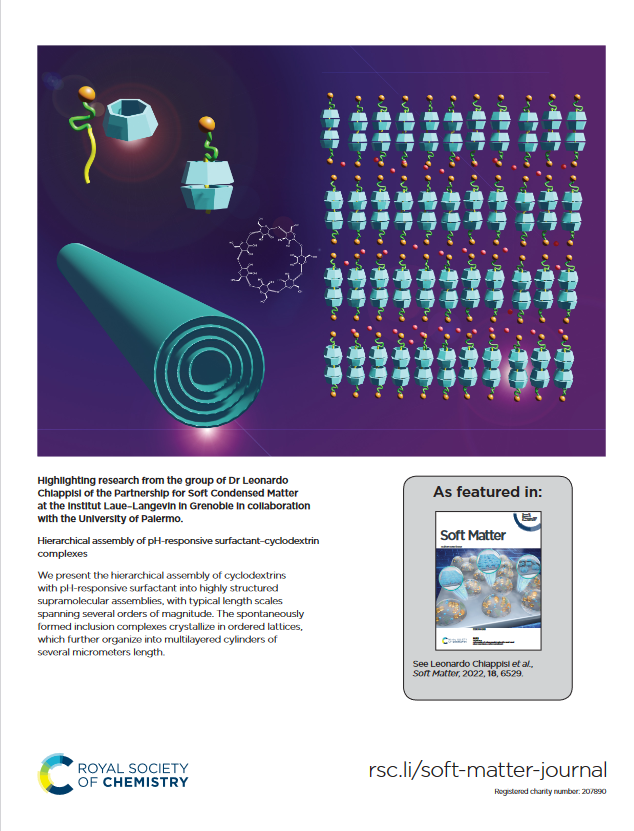 Screenshot_2022 10 13_at_13 59 52_Hierarchical_assembly_of_pH responsive_surfactant__x2013_cyclodextrin_complexes_ _d2sm00807f.pdf.png
