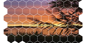 Screenshot_2024 10 14_164350.png