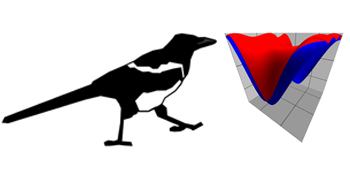 Magpie