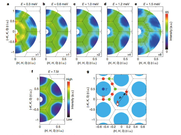Spinon_excitations_in_a_triangular lattice_quantum spin liquid_candidate.png