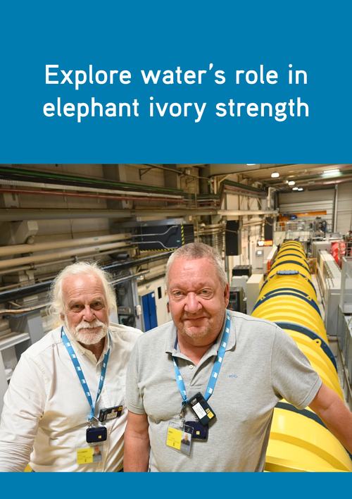 UC199 Elephant Tusk D11 User Portrait