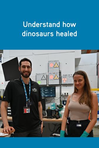 UC 200 Dinosaure fossils NEXT User Portrait