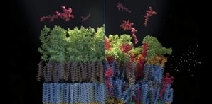 acsodf.2025.10.issue 3.largecover 3.jpg