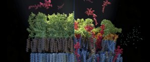 acsodf.2025.10.issue 3.largecover 3.jpg