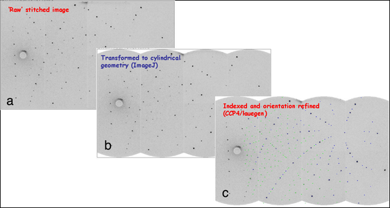 First tests. The figure shows the raw stitched Laue pattern (a) obtained with a ruby crystal in 20s of acquisition time. Figures (b) and (c) are the transformed to cylindrical geometry and indexed patterns respectively.