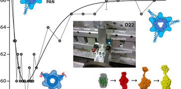 csm_F.Gabel Fig_ILL_News_Jan17_a66910553b.png