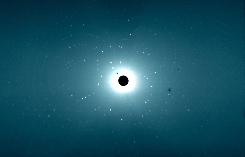csm_Neutron_diffraction_from_Compound_II_of_Ascorbate_peroxidase_Credit_Institut_Laue Langevin_University_of_Leicester__475c158275.png